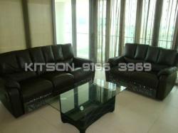 Pavilion 11 (D11), Condominium #10217422